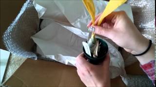 Catasetum Unboxing!