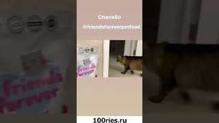 Мама Отличника Новые Видео 03 января 2020