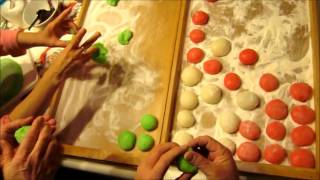 Mochi Making Fest 2011