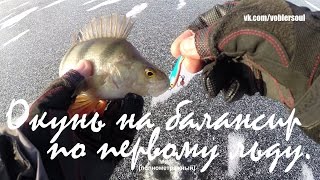 Ловля окуня на балансир по первому льду. Открытие сезона. 19 ноября 2015 г.