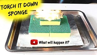 SPONGE VS GAS TORCH