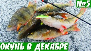 Ура ЗАМЕРЗЛО! Окунь на балансир по первому льду