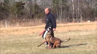 Competition Heeling - Rhythm within the Compression