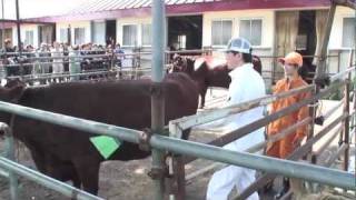 北里大学 獣医学部 動物資源科学科