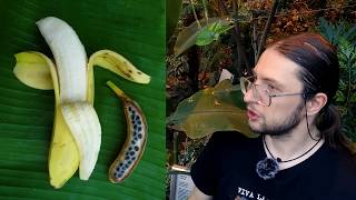 Банан - то что вы о нём не знали