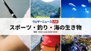 特集ウェザーニュースLiVE　スポーツ・釣り・海の生き物