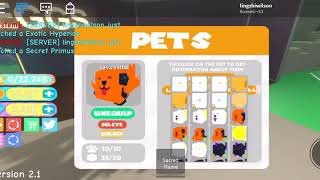 Hatching secret pet primus :O (banning simulator)