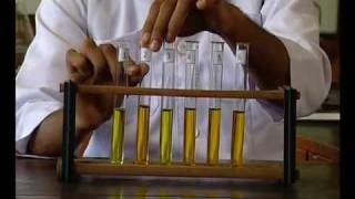Chemistry Practical-Equilibrium Systems (Chromate and Di-chromate)