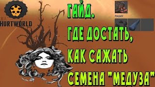 Hurtworld гайды.  Семена Медуза -  где  найти, достать, и как сажать .