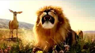 Animals singing
