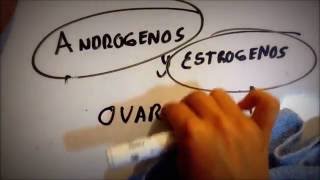 PRINCIPALES HORMONAS DEL CUERPO HUMANO