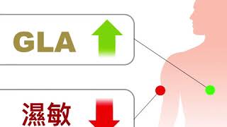 日本【健代益之諾®GLAGOLD®】 : 臨床文獻話您知! 人體GLA愈多，濕敏狀況就得以改善 (Created by : 日本健代營養研究開發有限公司)