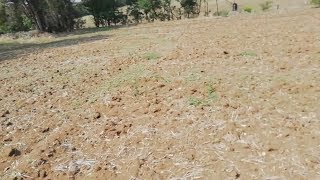 hanno fresato il campo cosa troverò con il METAL DETECTOR