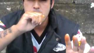 Michel Anjo x LESMA