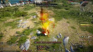 BDO PVP Arena : Black Desert - Berserker - 61 lvl(212/313)  fun