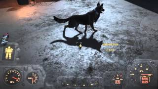 Fallout 4  баг-глюк дублирование "Ядерных блоков"
