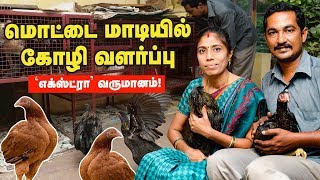 மொட்டை மாடி கோழி வளர்ப்பில் 'எக்ஸ்ட்ரா' வருமானம்
