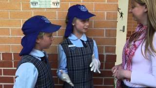 St. Monica's Primary School