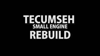 TECUMSEH SMALL ENGINE REBUILD
