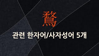 鶩(집오리 목,집오리 무)에 관한 한자어/사자성어 5개