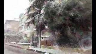 Silivri Hasan polat yalıkoy tugkent