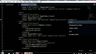 Validar formulario con Vue.js