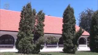 Odzaklija church in Leskovac