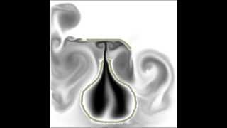 Fluid Simulation C++ / SFML