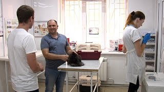 «Работаю на себя». Ветеринарная клиника
