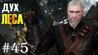 Прохождение Ведьмак 3: Дикая Охота #45: Дух леса
