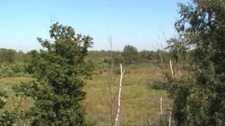 mit Roburbus in der Königsbrücker Heide
