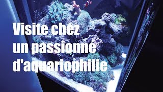 Visite chez un passionné d'aquariophilie