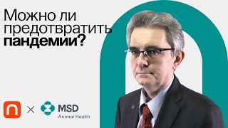 Концепция «Единое здоровье»: как предвидеть новые пандемии / Святослав Плавинский на ПостНауке