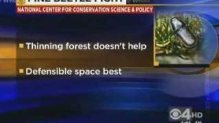 ODC - chitosan for tree protection against pine beetles