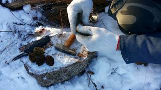 Как извлечь ядро серого ореха. How to remove a kernel of a (Juglans cinerea)(Butternut) gray nut.