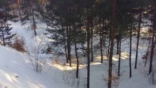 Кемерово Таймс   Бор Дк Шахтеров