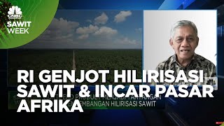 Sawit Dijegal Eropa, RI Genjot Hilirisasi & Incar Pasar Afrika