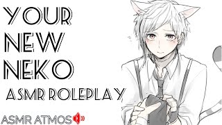 Your New Neko|ASMR roleplay?(Part 2)