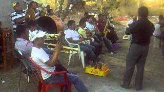 Banda Estampa Mixteca  de Santa Catarina Tlaltempan Puebla