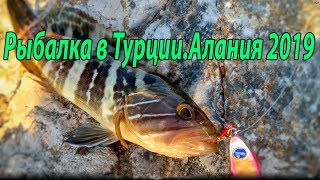 Рыбалка в Турции,Алания 07.2019