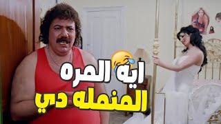 طلعت زكريا هيخليك تفصل ضحك على افيهاته ايه المره المنمله دي