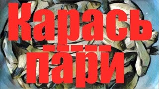 Ловля карася весной. Карась пари