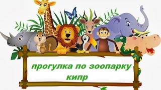 Зоопарк в Пафосе. Кипр 2016. Видео.The zoo in Paphos. Cyprus 2016. Video.