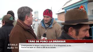 TARG DE PORCI LA DRAMBAR