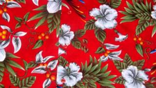 Hawaiihemd "Hawaiian Parrots (red)"