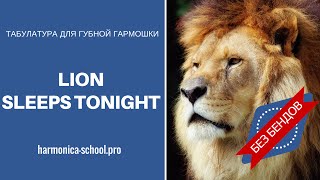 Табулатура для губной гармошки The Lions sleeps tonight