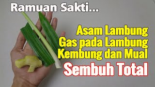 COBA RESEP DARI NENEKKU INI, TAK ADA LAGI KEMBUNG DAN MUAL SERTA ACEM LAMBUANG SAMPAI HARI TUA