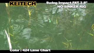Swing Impact FAT 2 8" NO SINKER RIG