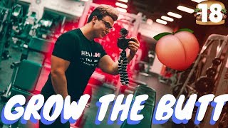 Why You Should Grow a Booty... | 30 Day Cheeseburger Weightloss Challenge | Day 18
