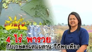 ตะวันรุ่ง : “เกษตรผสมผสาน 4ไร่" มีกิน มีเก็บทั้งปี (ไร่ณัฐธยาน์)